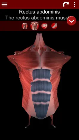 Game screenshot Muscular System 3D (anatomy) apk