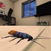 Cockroach simulator icon