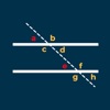 Parallel Line Calculator