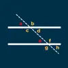 Similar Parallel Line Calculator Apps