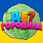 Download Де? Городина app