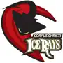 IceRays Hockey