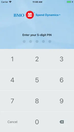 BMO Spend Dynamics screenshot 1