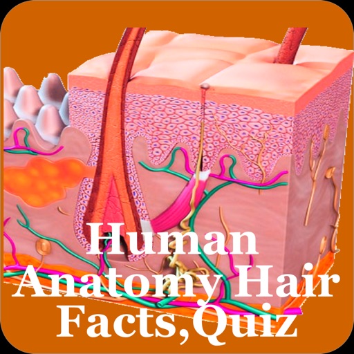 Human Anatomy Hair Facts,Quiz icon