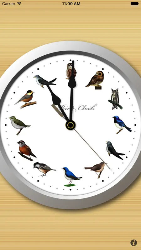 BirdClock screenshot 1 of 3
