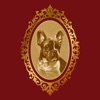Francez Bulldog icon