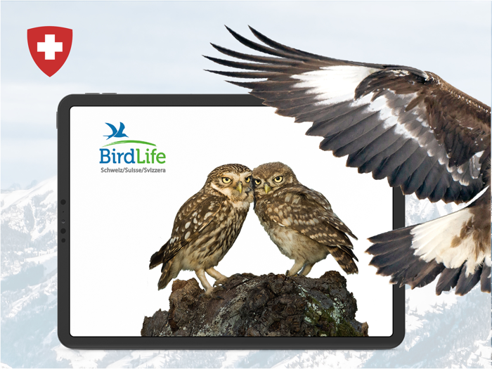 Vogelführer Birdlife Schweiz