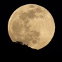 Moon Phases Calendar App app download