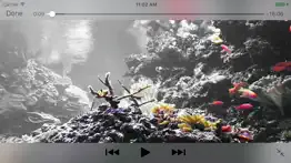 reef aquarium 2d/3d iphone screenshot 3