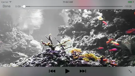 Reef Aquarium 2D/3D