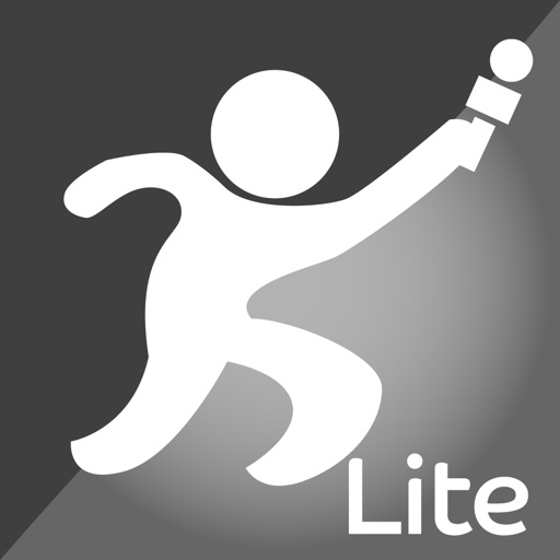 Report-IT Lite icon