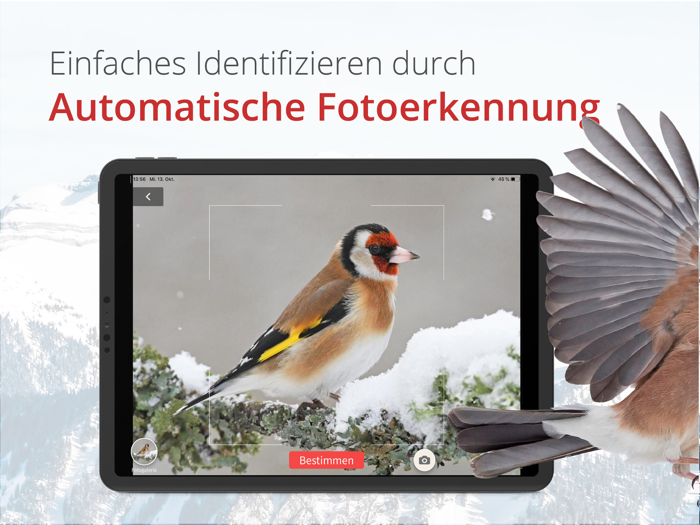 Vogelführer Birdlife Schweiz
