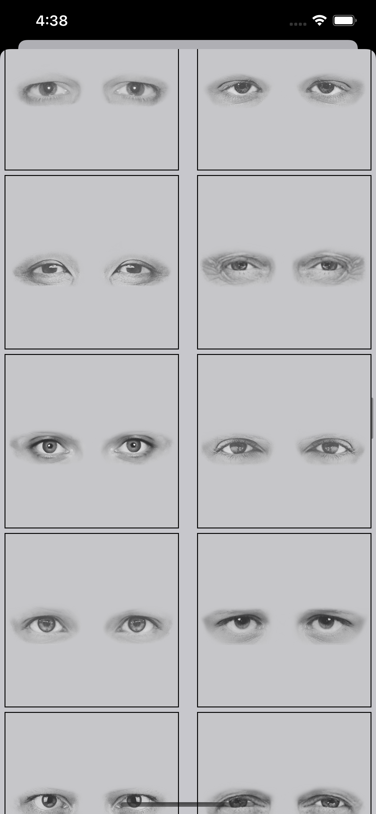 Fotorobot Pro