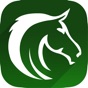 Horse Racing Picks & Hot Tips! app download