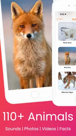 Game screenshot YipYap - Animal Discovery mod apk