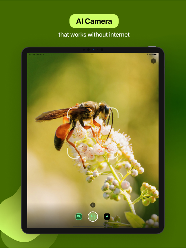 Bug Identifier Screenshot