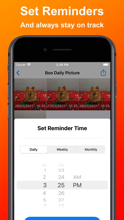 Daily Picture - Selfie a day