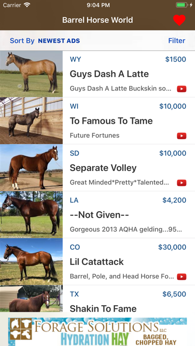 Barrel Horse World Screenshot
