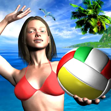 Over The Net Beach Volleyball Cheats