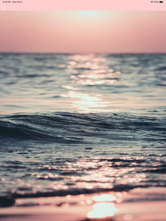 Rose Gold Wallpapers iPad screenshot 7 - Photo & Video app