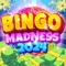 Bingo Madness Live Bingo Games