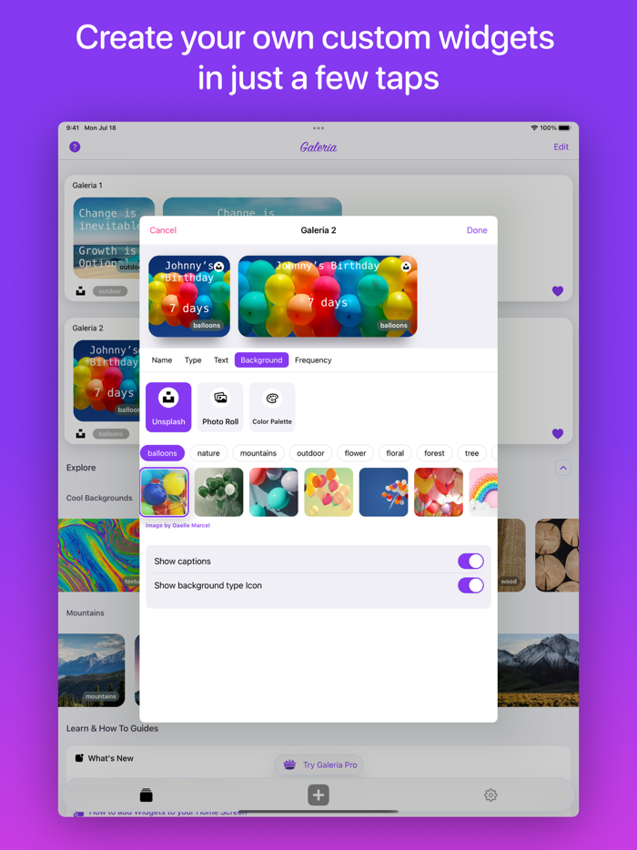 Galeria  Custom Widgets