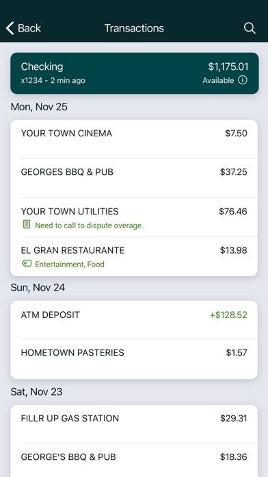 Thomasville National Bank Screenshot