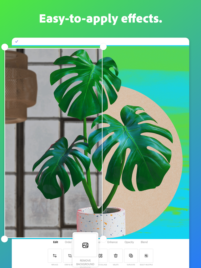 ‎Adobe Express: Graphic Design Screenshot