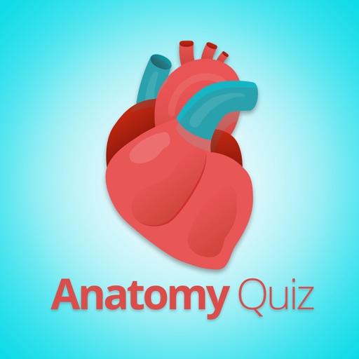 Anatomy and Physiology Quiz. Icon