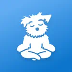 Meditation | Down Dog App Positive Reviews