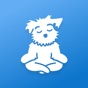 Meditation | Down Dog app download