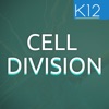Process of Cell Division icon