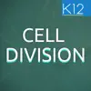 Process of Cell Division App Feedback