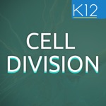 Download Process of Cell Division app