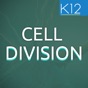 Process of Cell Division app download