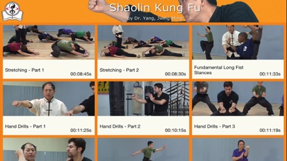 Shaolin Kung Fu Fundamental Screenshot
