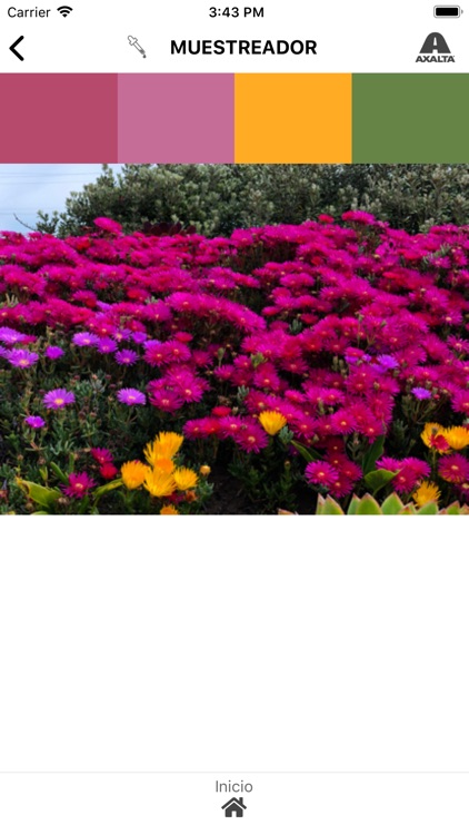 ColorMaster screenshot-5