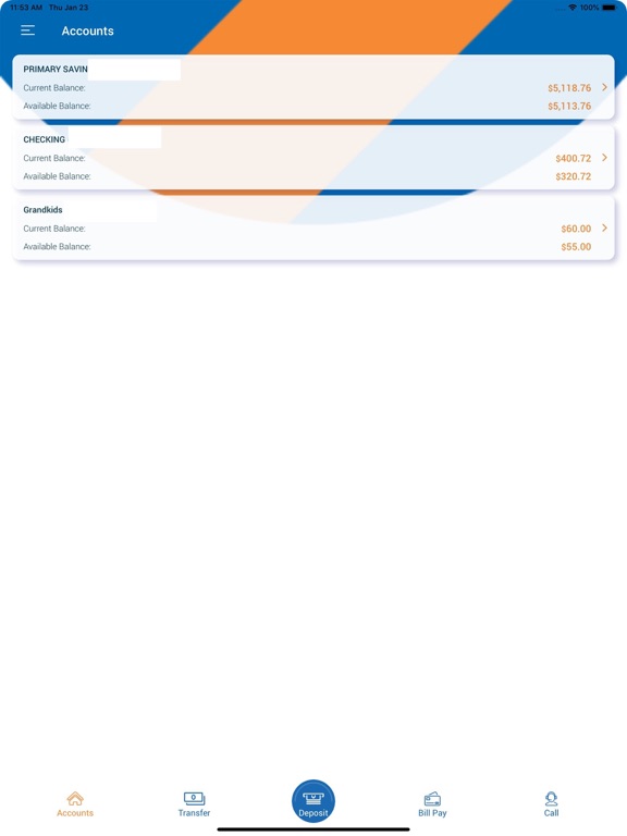 City Public Services/IBEW FCU iPad screenshot 2 - Finance app