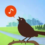 Chirp! Bird Songs & Calls USA App Alternatives