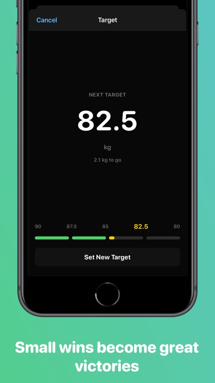 Weight tracker - Vekt screenshot-1