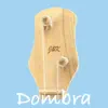 Dombra Tuner problems & troubleshooting and solutions