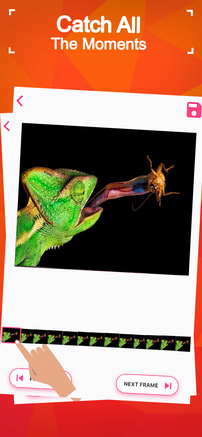 Video Frame Grabber Clipgrab