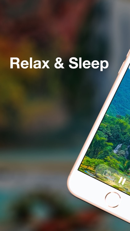 Yolo: Meditation & Sleep