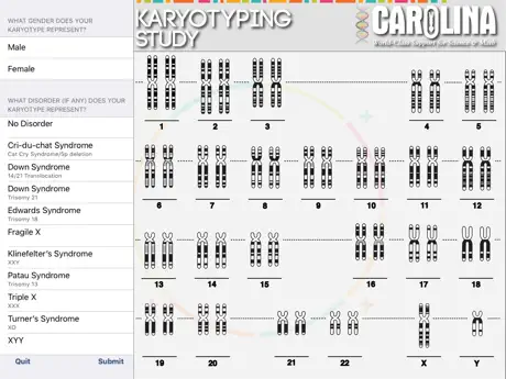 Karyotyping Lite