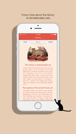 Game screenshot Darling cats apk