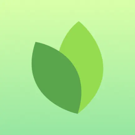 Sagely: Family 2.0 Читы