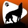 Wolf Player icon