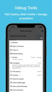 debug anywhere iphone screenshot 2
