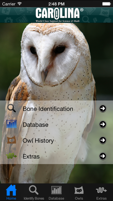 Owl Pellet Activities Screenshot
