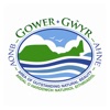 This is Gower icon
